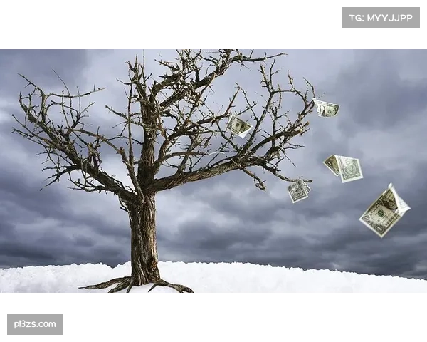 水晶宫冬窗亏损6670万欧元 商业价值波动中面临财务压力